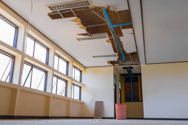 Best 24/7 water damage repair  in Many, LA