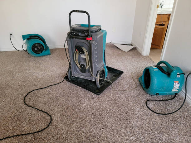 Best Carpet water damage restoration  in Many, LA