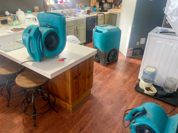 Best Water damage cleanup near me  in Many, LA