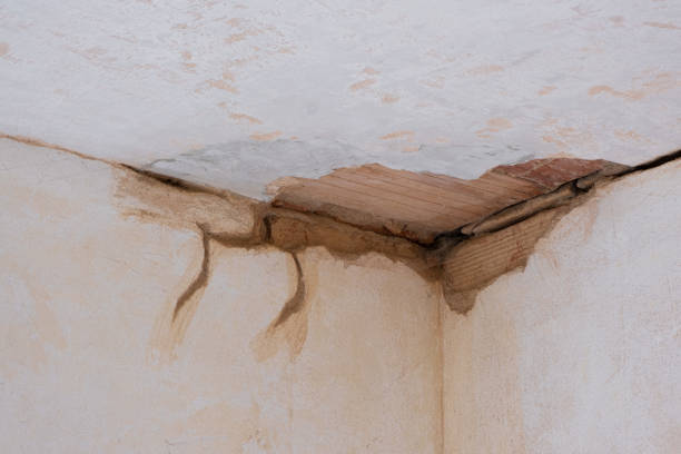 Best Water damage restoration mold remediation  in Many, LA