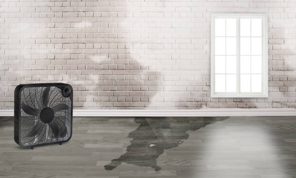Best Sewage cleanup and water damage restoration  in Many, LA