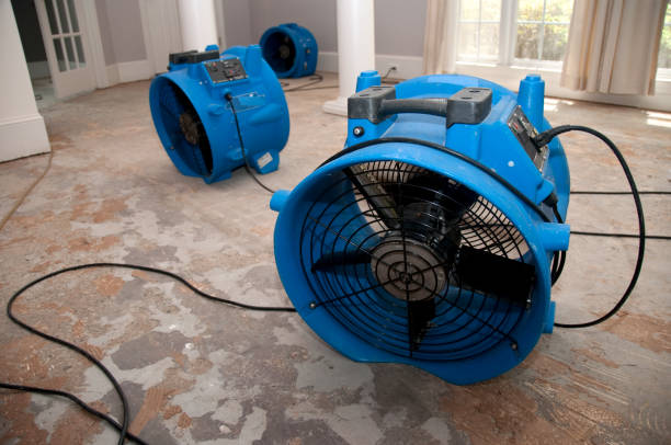 Best Water damage restoration near me  in Many, LA