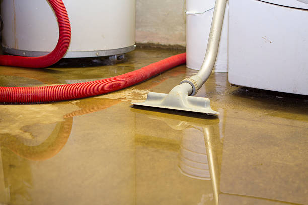 Best 24-hour water damage restoration  in Many, LA