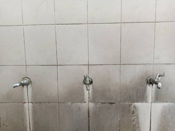 Best Local water damage restoration  in Many, LA