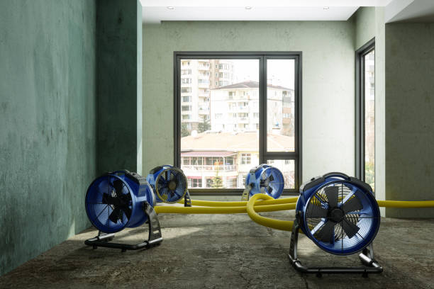 Best Water damage contractors near me  in Many, LA
