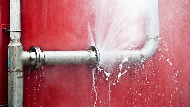 Best Local water damage restoration  in Many, LA