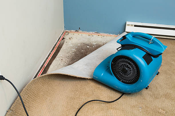 Best Water damage restoration near me  in Many, LA